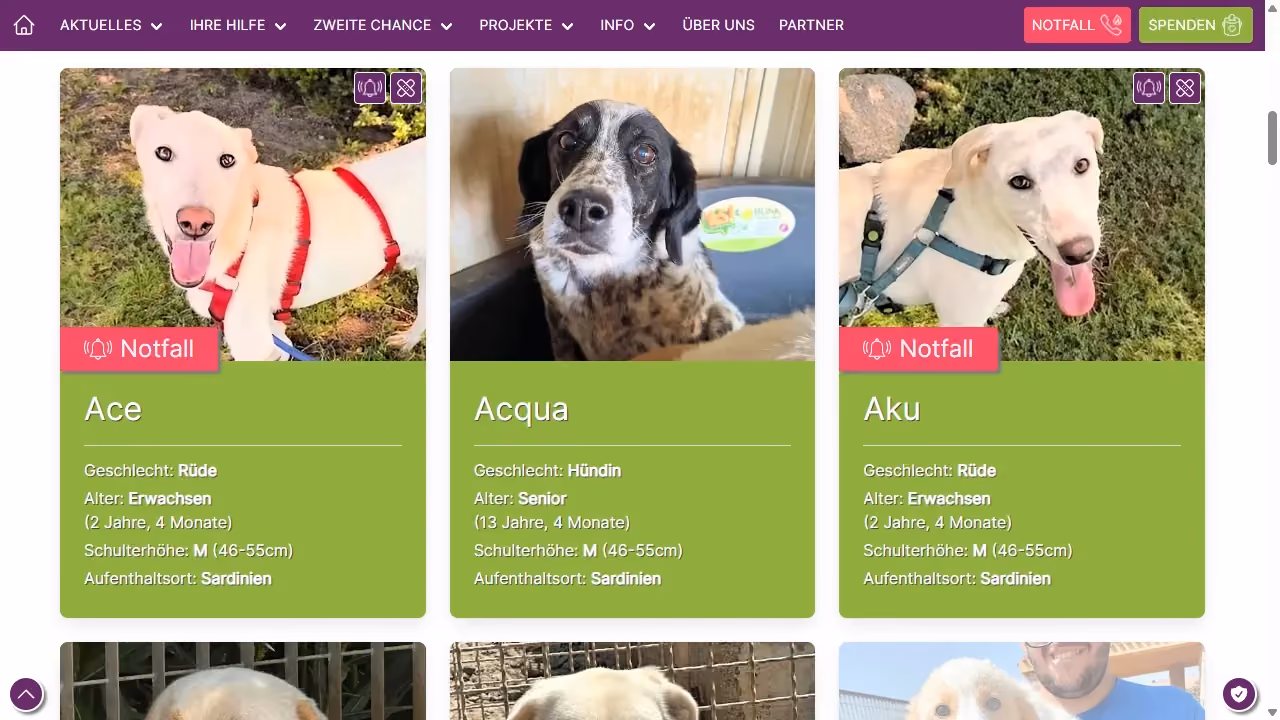 SardinienHunde.org